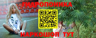 мяу мяу мука Гатчина