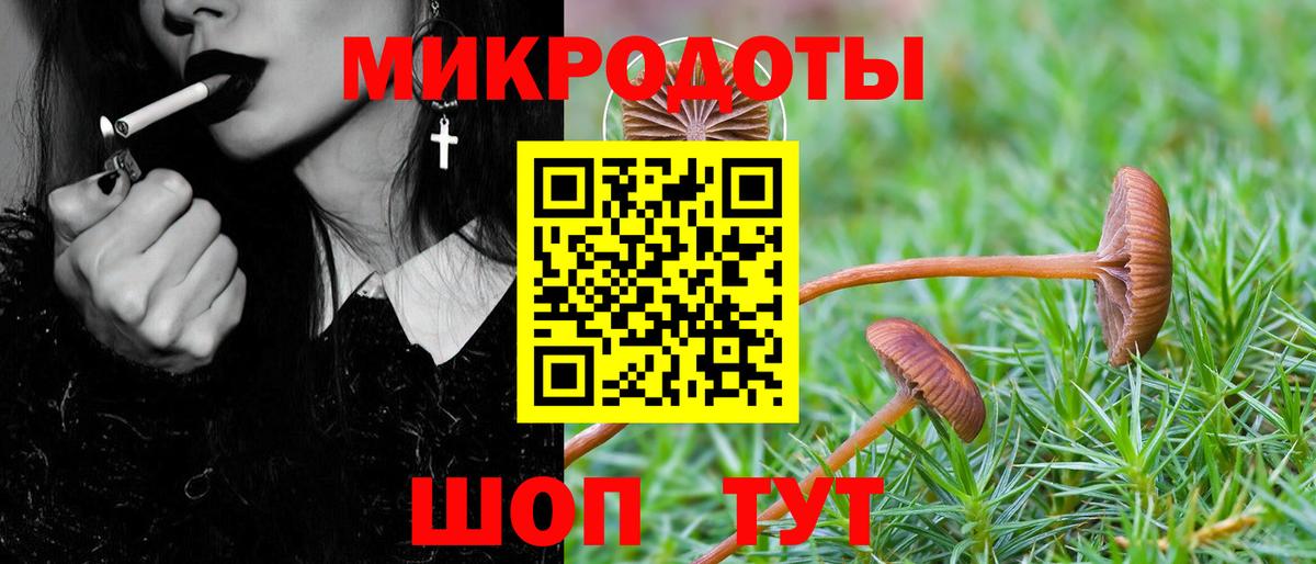 Галлюциногенные грибы Cubensis Нальчик