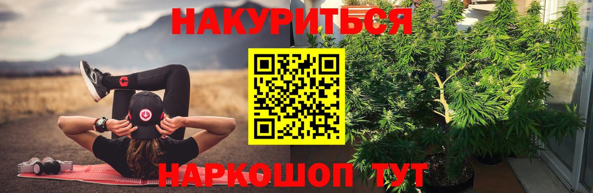 МАРИХУАНА сатива  МАРИХУАНА гибрид  Вход с VPN  МАРИХУАНА VHQ  МАРИХУАНА гибрид  Нальчик 